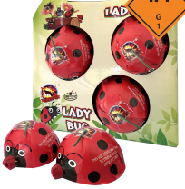 LADY BUG